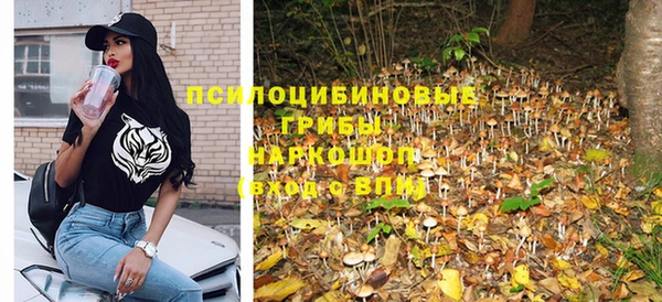 сатива Алексин