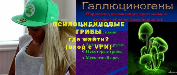 прущий лед Абаза