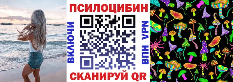 закладка  Моздок  Галлюциногенные грибы мухоморы 