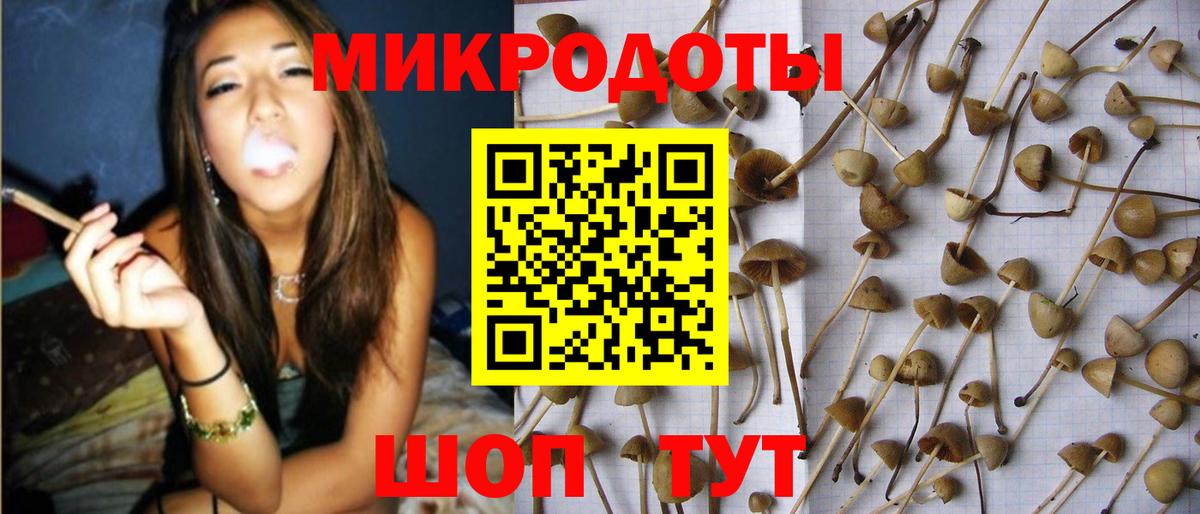 Псилоцибиновые грибы Cubensis  Вход с VPN  цены наркотик  Моздок 
